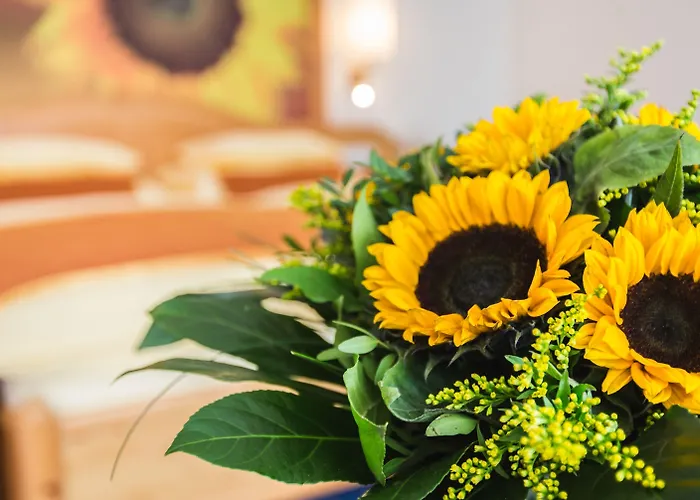 Europaeischer Hof Hotell